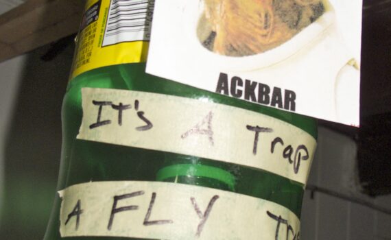 Its a fly trap