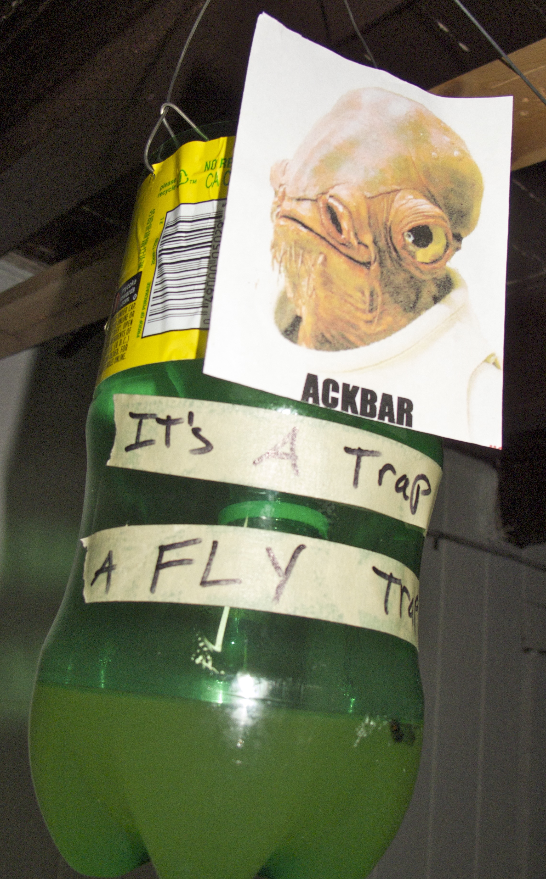 Its a fly trap
